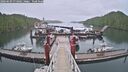 ./images/calvert/dock/20260609/dock20260609_073001M.jpg