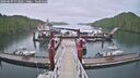 ./images/calvert/dock/20260609/dock20260609_073501M.jpg