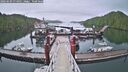 ./images/calvert/dock/20260609/dock20260609_074001M.jpg