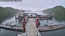 ./images/calvert/dock/20260609/dock20260609_074501M.jpg