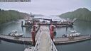 ./images/calvert/dock/20260609/dock20260609_075001M.jpg