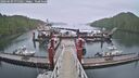./images/calvert/dock/20260609/dock20260609_075501M.jpg