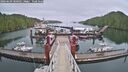 ./images/calvert/dock/20260609/dock20260609_080001M.jpg