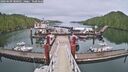 ./images/calvert/dock/20260609/dock20260609_080501M.jpg