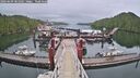./images/calvert/dock/20260609/dock20260609_081001M.jpg