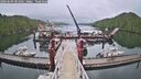 ./images/calvert/dock/20260609/dock20260609_081501M.jpg