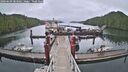 ./images/calvert/dock/20260609/dock20260609_083501M.jpg