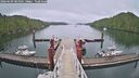 ./images/calvert/dock/20260609/dock20260609_084501M.jpg