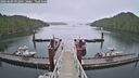 ./images/calvert/dock/20260609/dock20260609_092001M.jpg