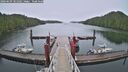 ./images/calvert/dock/20260609/dock20260609_101001M.jpg