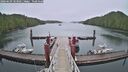 ./images/calvert/dock/20260609/dock20260609_103001M.jpg