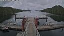 ./images/calvert/dock/20260609/dock20260609_190501M.jpg