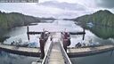 ./images/calvert/dock/20260610/dock20260610_083001M.jpg