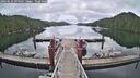 ./images/calvert/dock/20260610/dock20260610_094501M.jpg