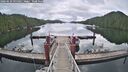 ./images/calvert/dock/20260610/dock20260610_095001M.jpg