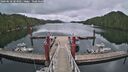./images/calvert/dock/20260610/dock20260610_103501M.jpg