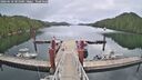 ./images/calvert/dock/20260610/dock20260610_105001M.jpg