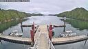 ./images/calvert/dock/20260610/dock20260610_114002M.jpg