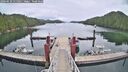 ./images/calvert/dock/20260610/dock20260610_115001M.jpg