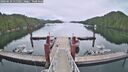 ./images/calvert/dock/20260610/dock20260610_115501M.jpg