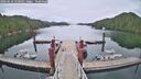 ./images/calvert/dock/20260610/dock20260610_120002M.jpg