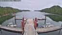 ./images/calvert/dock/20260610/dock20260610_133501M.jpg