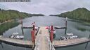 ./images/calvert/dock/20260610/dock20260610_141001M.jpg