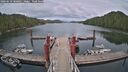 ./images/calvert/dock/20260610/dock20260610_180001M.jpg