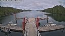 ./images/calvert/dock/20260610/dock20260610_183001M.jpg
