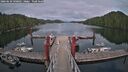 ./images/calvert/dock/20260610/dock20260610_190001M.jpg