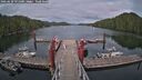 ./images/calvert/dock/20260610/dock20260610_191501M.jpg