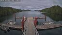 ./images/calvert/dock/20260610/dock20260610_194501M.jpg