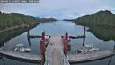 ./images/calvert/dock/20260611/dock20260611_054001M.jpg