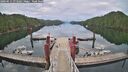 ./images/calvert/dock/20260611/dock20260611_073502M.jpg