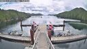 ./images/calvert/dock/20260611/dock20260611_091501M.jpg