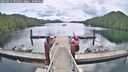 ./images/calvert/dock/20260611/dock20260611_095001M.jpg