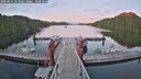 ./images/calvert/dock/20260611/dock20260611_214502M.jpg