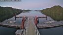 ./images/calvert/dock/20260611/dock20260611_221002M.jpg