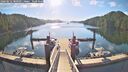 ./images/calvert/dock/20260612/dock20260612_080501M.jpg