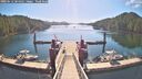 ./images/calvert/dock/20260612/dock20260612_084501M.jpg