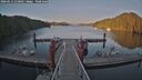 ./images/calvert/dock/20260612/dock20260612_210502M.jpg