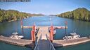 ./images/calvert/dock/20260613/dock20260613_175501M.jpg