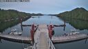 ./images/calvert/dock/20260614/dock20260614_214001M.jpg