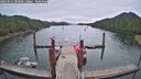 ./images/calvert/dock/20260615/dock20260615_083501M.jpg