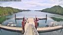 ./images/calvert/dock/20260615/dock20260615_113001M.jpg