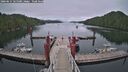 ./images/calvert/dock/20260615/dock20260615_165501M.jpg