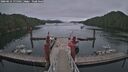 ./images/calvert/dock/20260615/dock20260615_175502M.jpg