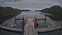 ./images/calvert/dock/20260615/dock20260615_185502M.jpg