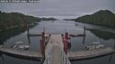 ./images/calvert/dock/20260615/dock20260615_190501M.jpg