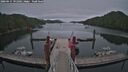 ./images/calvert/dock/20260615/dock20260615_191002M.jpg